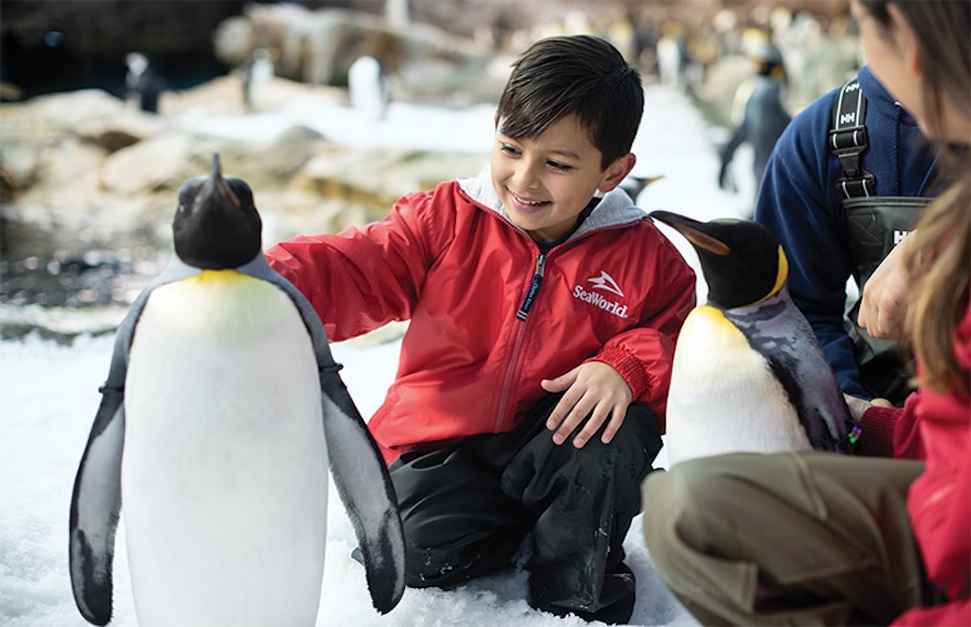 SWT_2019_Brand Selects_RG1_4324